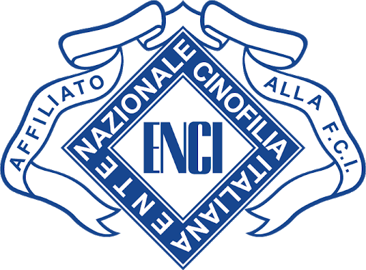 Logo Enci