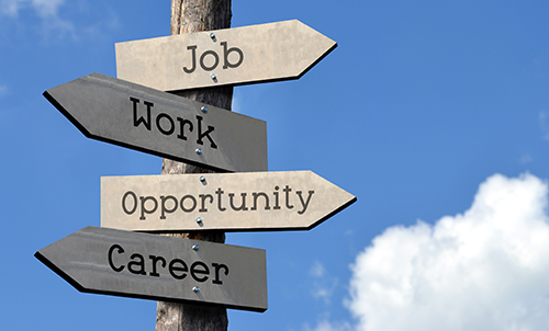 Opportunità di Lavoro