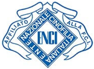 Enci Logo