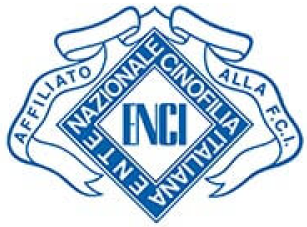 Logo Enci